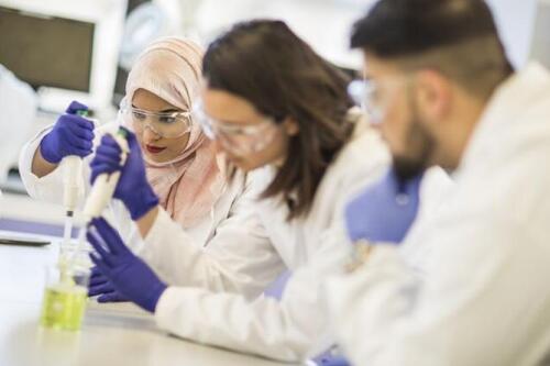 British Council- International Science Partnerships Fund Early-career researcher fellowships